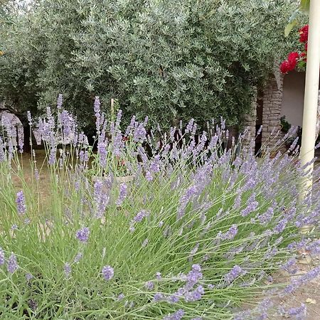 PUY Apartments Anica מראה חיצוני תמונה