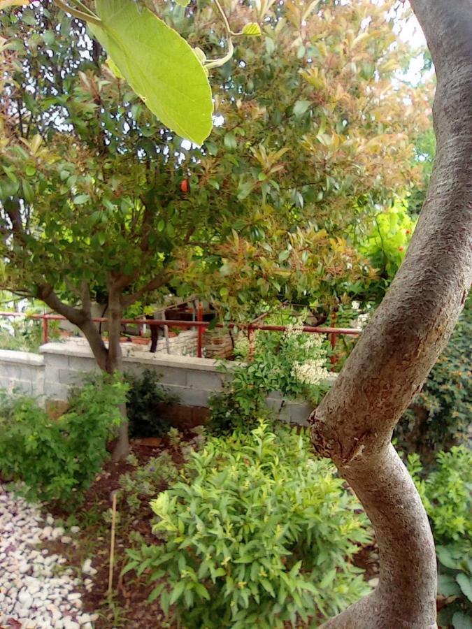 PUY Apartments Anica מראה חיצוני תמונה