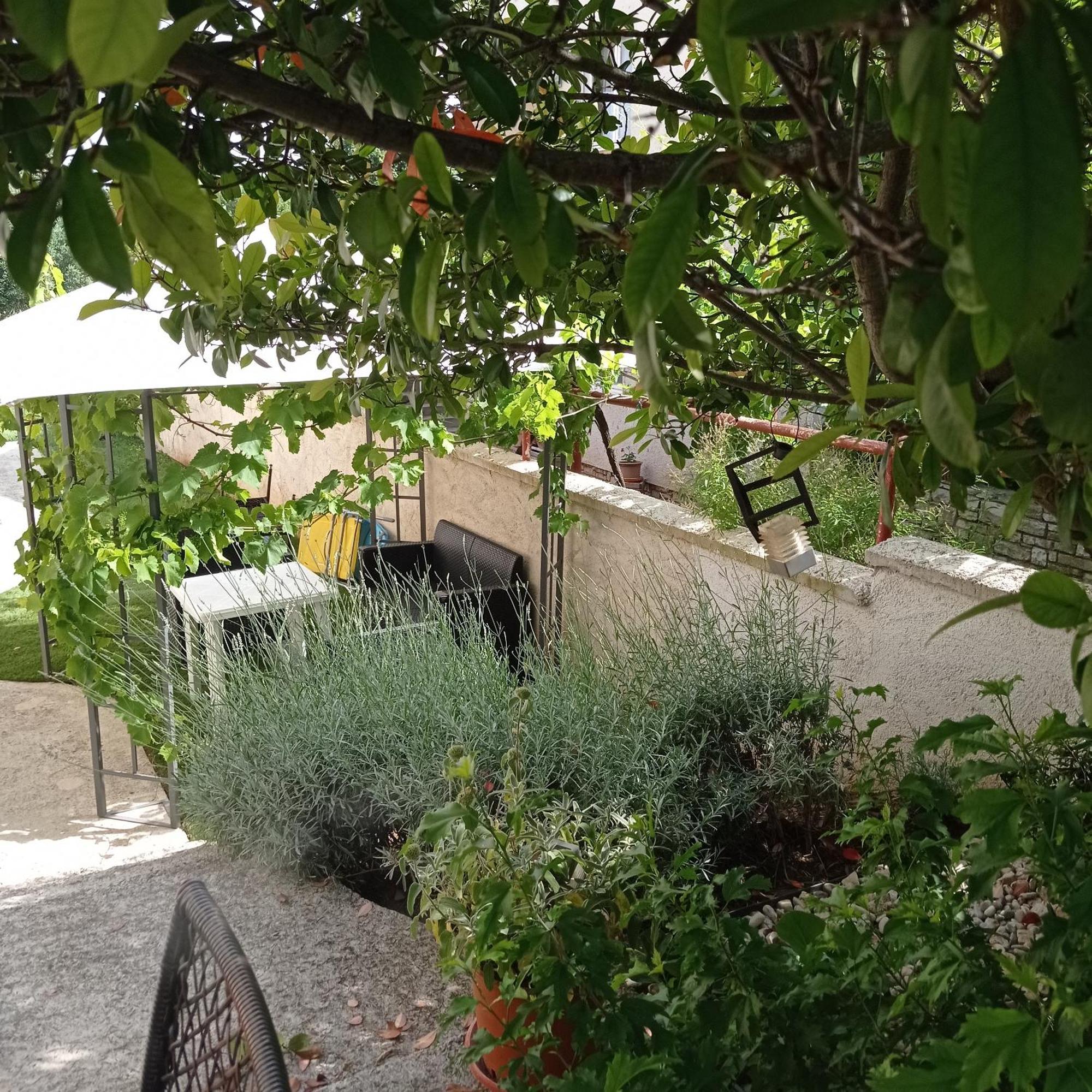 PUY Apartments Anica מראה חיצוני תמונה