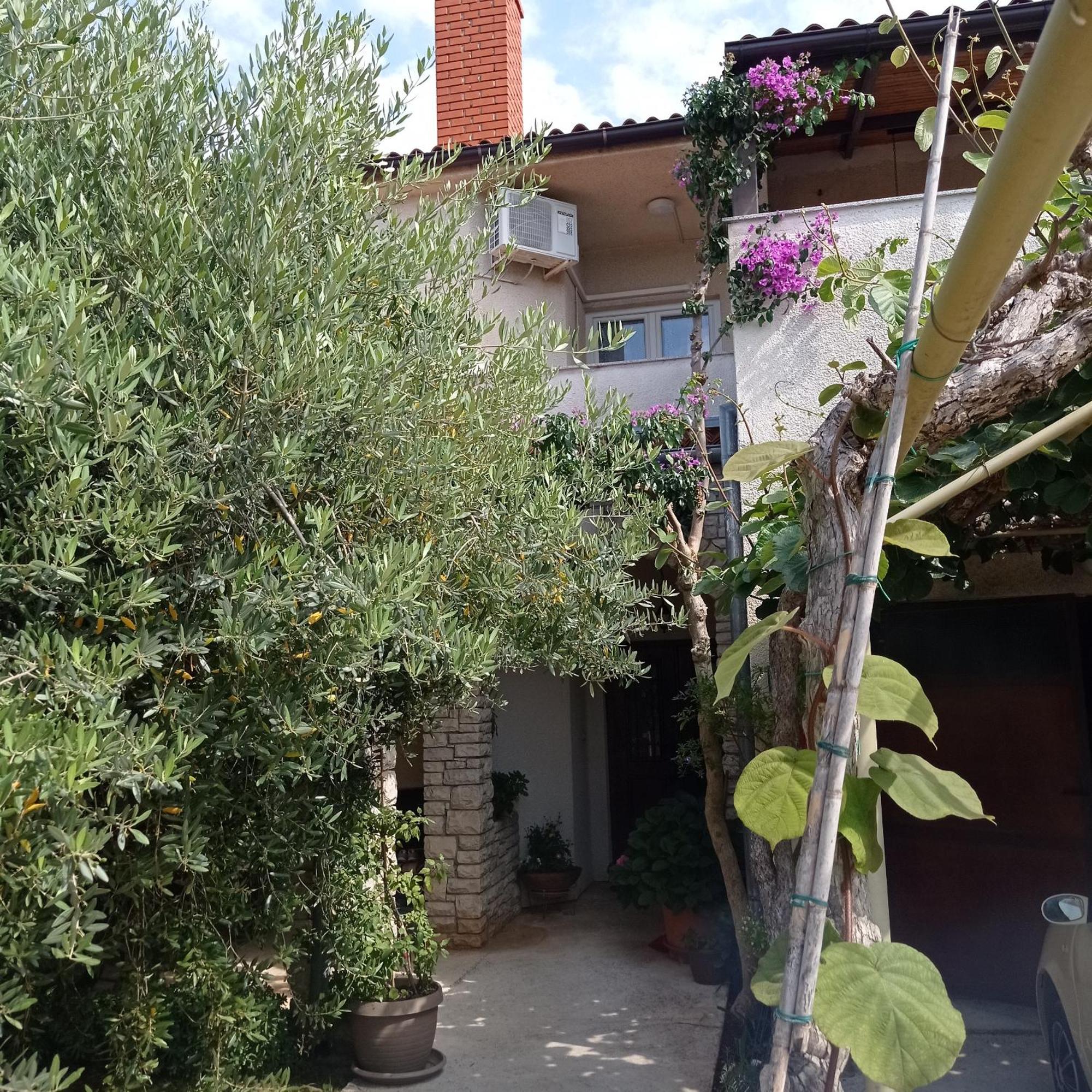 PUY Apartments Anica מראה חיצוני תמונה