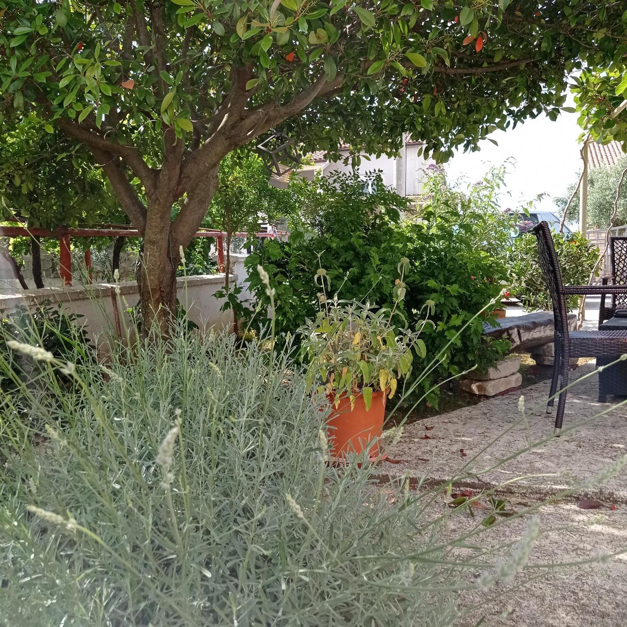 PUY Apartments Anica מראה חיצוני תמונה